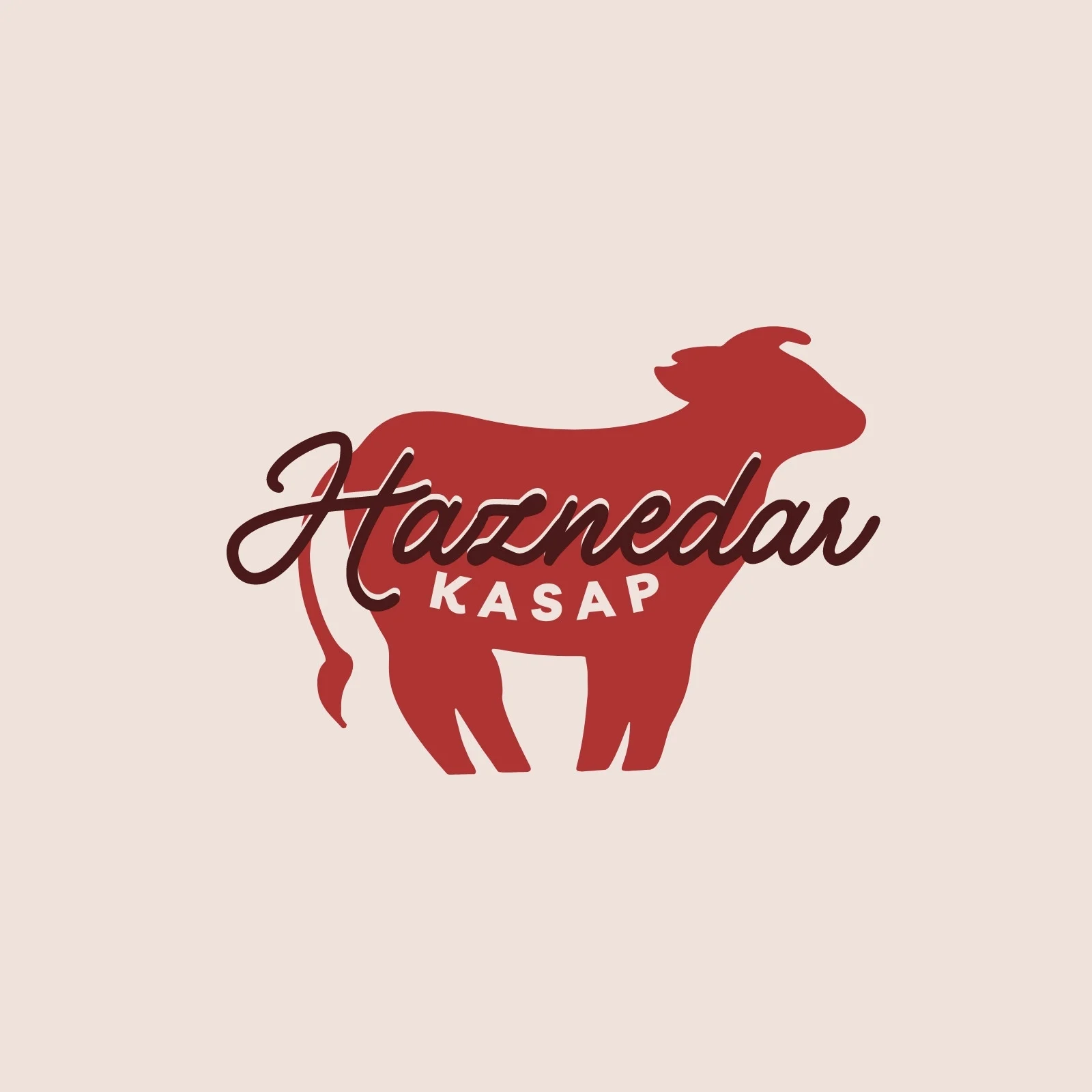 Haznedar Kasap